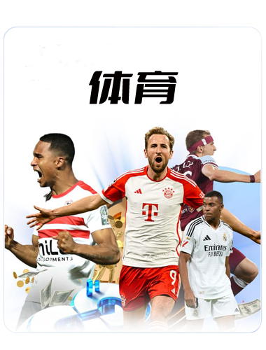 体育包网如何搭建？世界杯即将到来